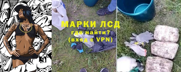 PSILOCYBIN Нягань