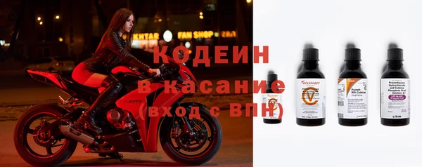 ешки Ельня