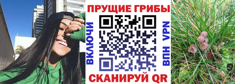 Галлюциногенные грибы ЛСД Подпорожье